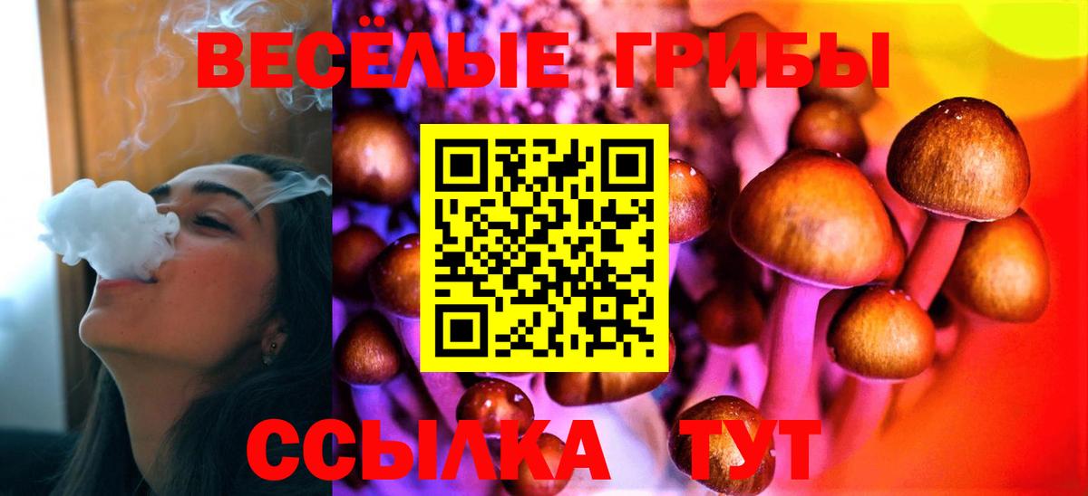 Галлюциногенные грибы прущие грибы  сколько стоит  Клин  Псилоцибиновые грибы мухоморы  Вход с VPN 